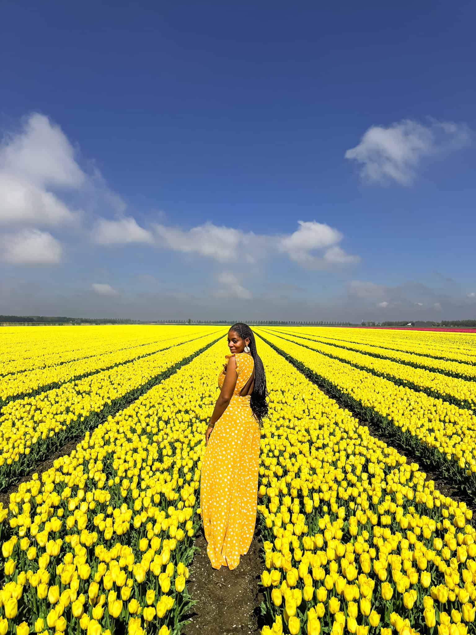 Nma Okafor in Tulip fields near Amsterdam