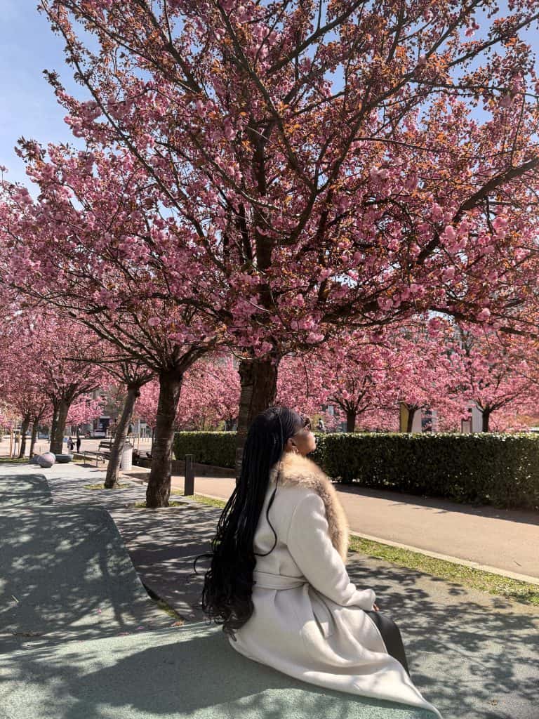 Elegant woman sitting under blooming cherry blossom trees in a park, enjoying spring scenery, wearing a white coat, long dark hair, and sunglasses, capturing a peaceful moment of nature and fashion.
