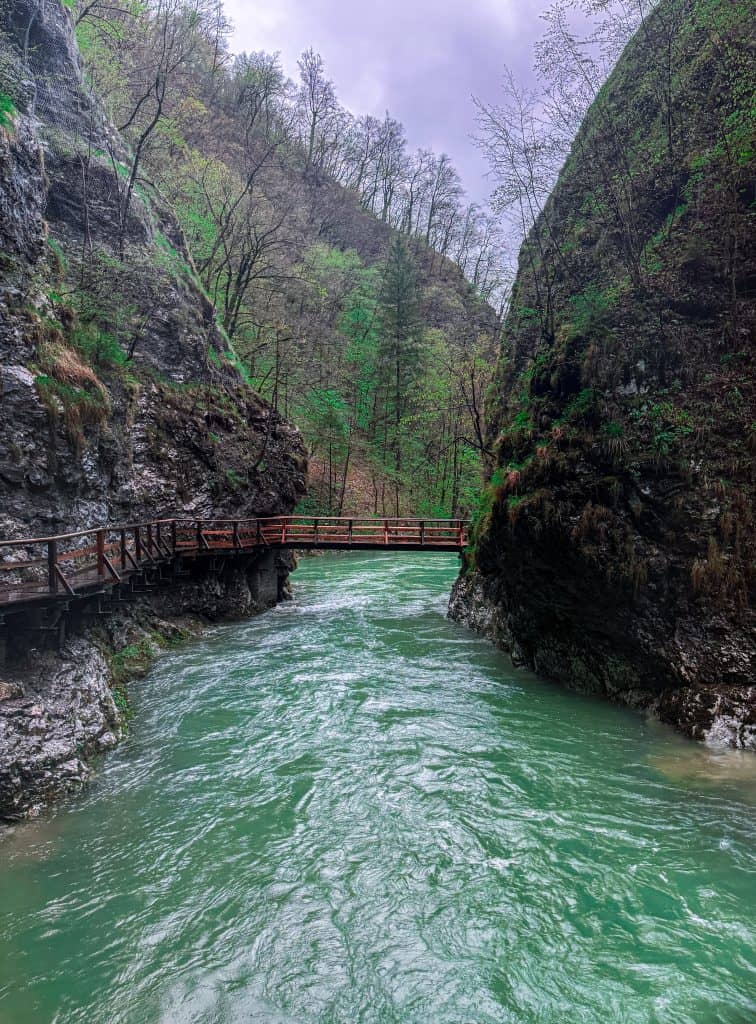 A serene river flowing through a lush green canyon with a wooden bridge, surrounded by towering trees and rocky cliffs, showcasing natural beauty and outdoor adventure opportunities.