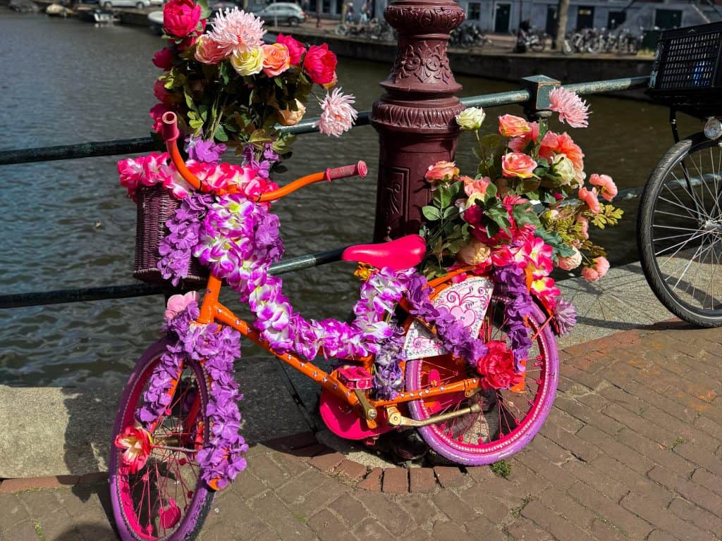 A vibrant, flower-adorned bicycle displayed outdoors by a canal in Amsterdam, featuring pink and purple floral decorations.