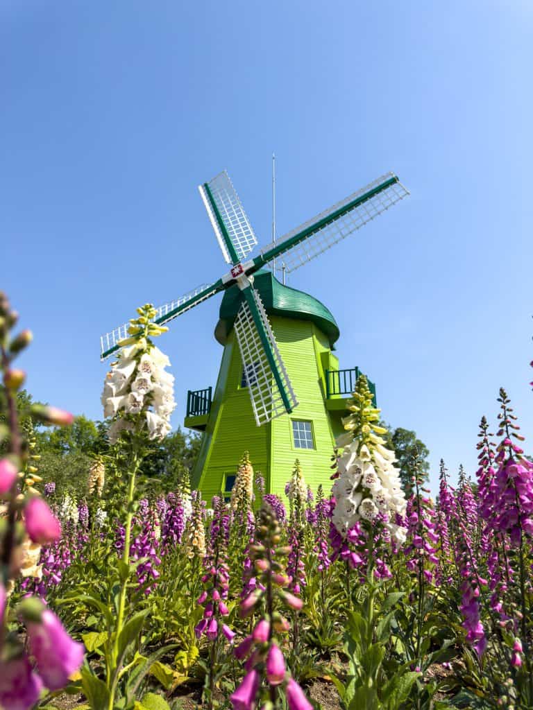 Vibrant green windmill surrounded by blooming flowers under a clear blue sky, showcasing a scenic outdoor landscape.