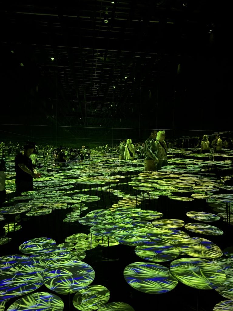 Visitors explore an immersive digital art exhibit featuring illuminated lily pads and vibrant projections in a dark, spacious gallery.
