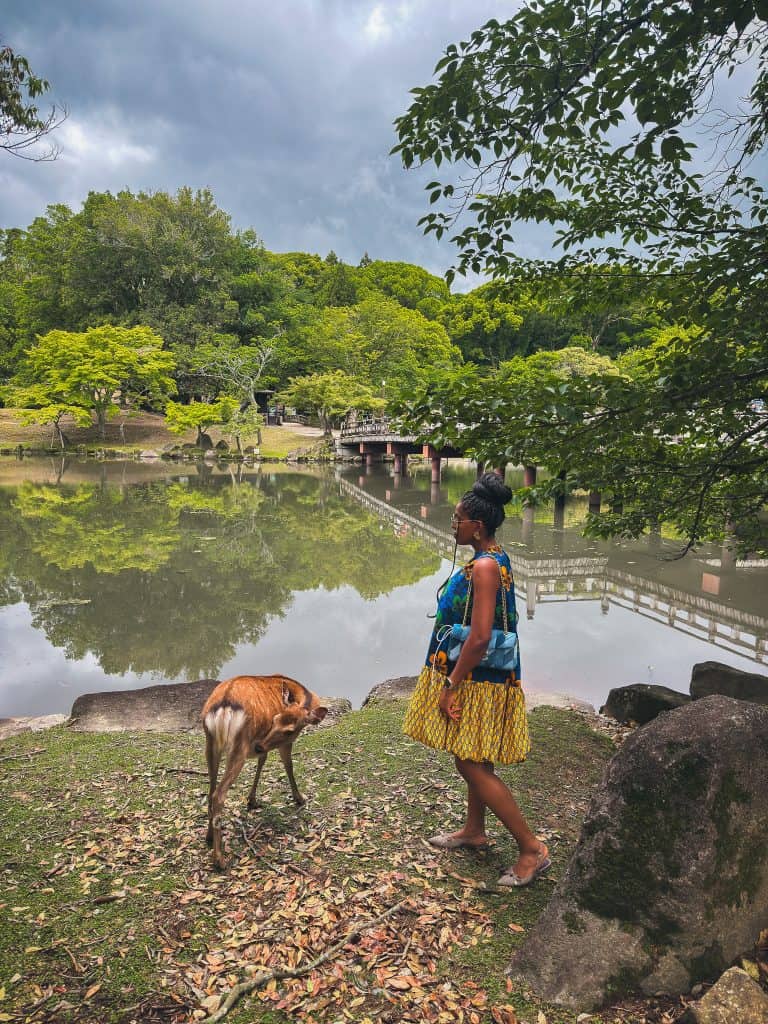 Nma Okafor standing by a lake in a Japanese park with a dog, surrounded by lush green trees and a cloudy sky.